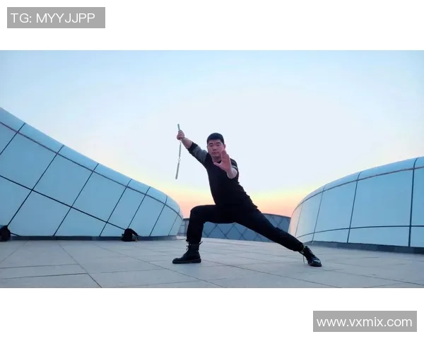 《武术之道：从传统技艺到现代武术文化的传承与发展》